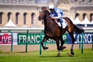 découvrez comment choisir un cheval de course adapté, en tenant compte de ses caractéristiques, son entraînement et son potentiel pour maximiser vos chances de succès.