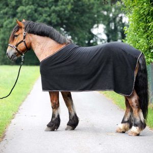 découvrez notre sélection de couvertures adaptées aux chevaux de trait pour assurer confort et protection par tous les temps.