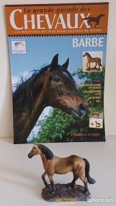 découvrez où acheter un cheval barbe de qualité et faites le meilleur choix grâce à nos conseils et sélections d'élevages réputés.