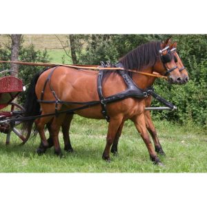 découvrez comment choisir le harnais idéal pour votre cheval de trait, avec des conseils pratiques pour allier confort et efficacité.