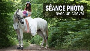 découvrez nos conseils pour réussir un shooting photo avec votre cheval et capturer des images majestueuses et naturelles.
