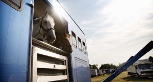 découvrez nos solutions fiables et sécurisées pour le transport de votre cheval, assurant confort et sécurité tout au long du trajet.