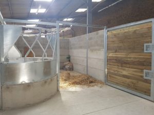 découvrez nos conseils pratiques pour aménager un box à chevaux de manière efficace, alliant confort, sécurité et fonctionnalité pour votre cheval.