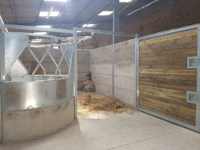 découvrez nos conseils pratiques pour aménager un box à chevaux de manière efficace, alliant confort, sécurité et fonctionnalité pour votre cheval.