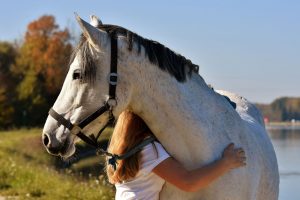 découvrez comment choisir le cheval idéal dans la catégorie grand est en tenant compte de ses caractéristiques, son tempérament et vos besoins.