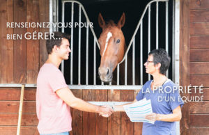découvrez les démarches clés pour sauver un cheval efficacement et assurer son bien-être. guide pratique et conseils indispensables pour intervenir rapidement.